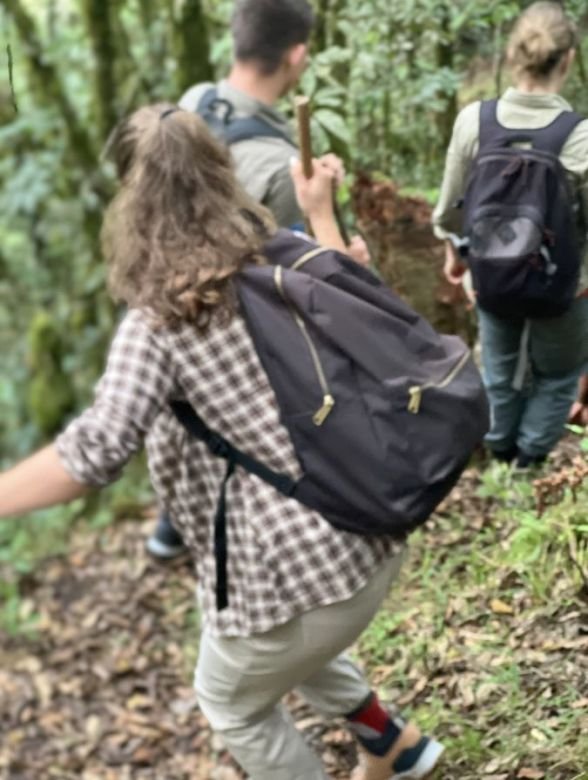 Gorilla trekking in Uganda