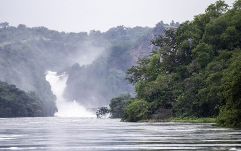 Murchison Falls, where the Victoria Nile rushes through a narrow gorge, in Murchison Falls National Park, Uganda.