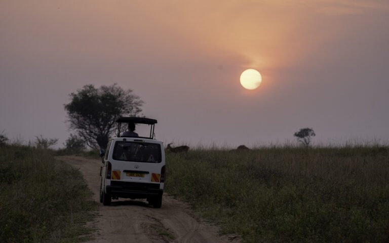 A safari vehicle on a dirt track at sunset in Murchison Falls National Park, Uganda.